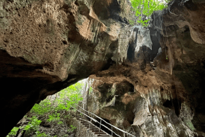 Shimoni Cave - Kenya Wildlife Safari